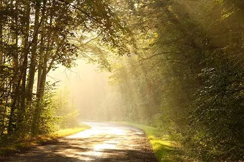 light-shining-road