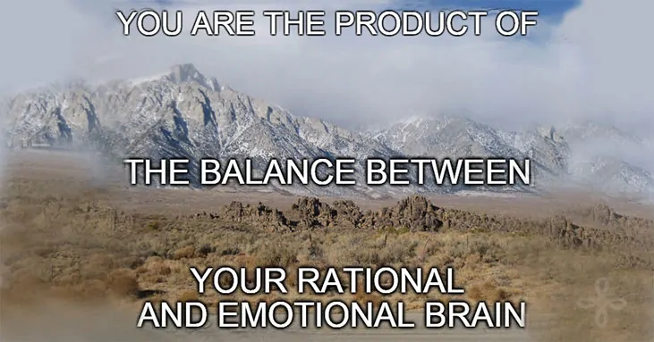 You are the product of the balance between your rational and emotional brain.