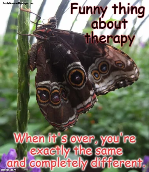 funny thing about therapy butterfly image