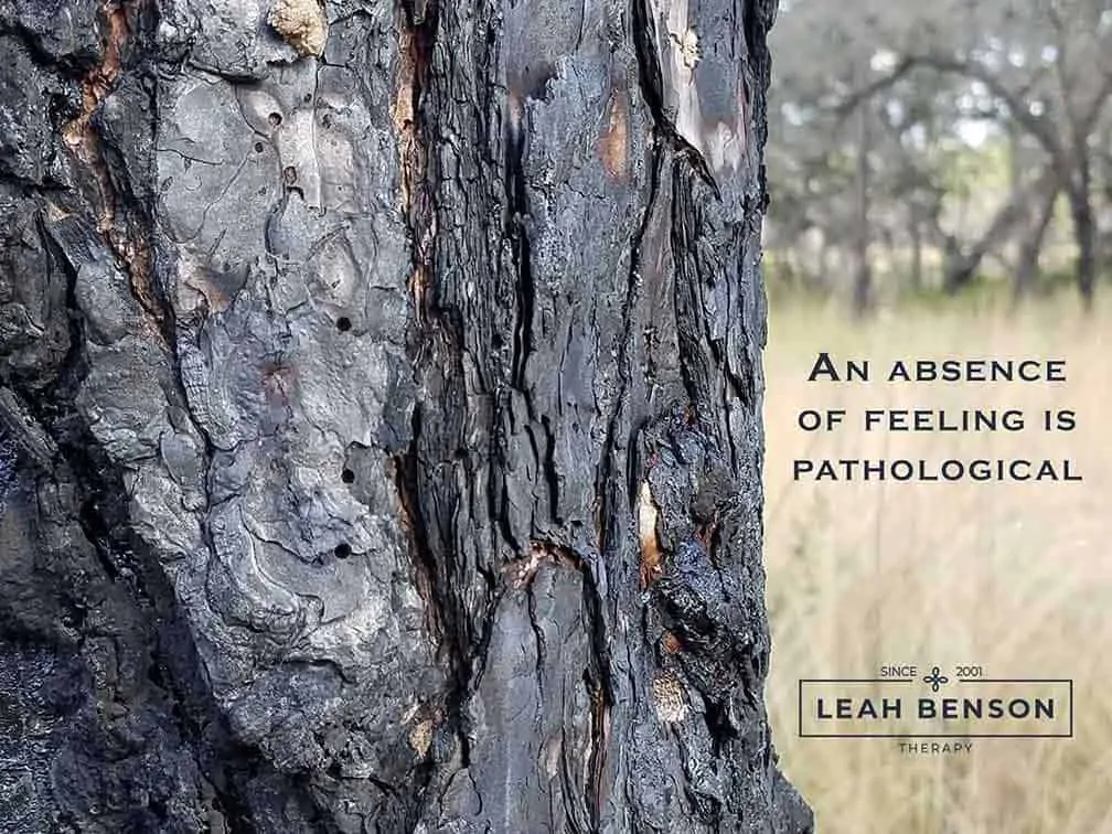 Photo of a burnt tree trunk with the text, An Absence of Feeling is Pathological