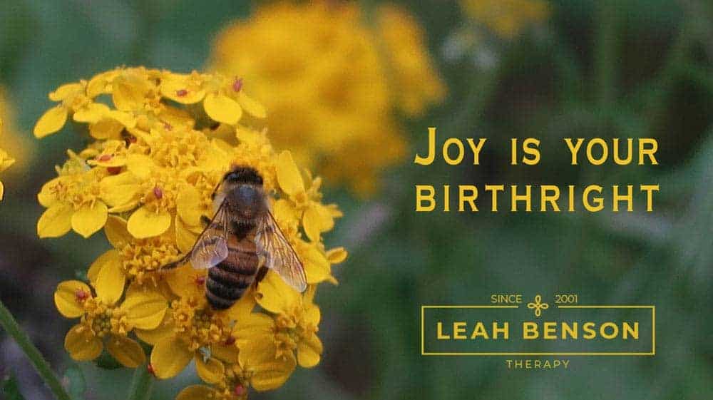 Joy is your Birthright. Photo of a bee and flower.