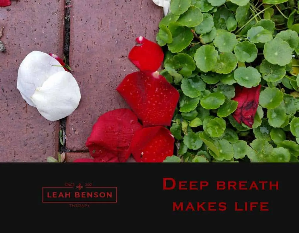 Deep Breath Makes Life. Leah Benson Therapy. Photo of rose petals on brick path.