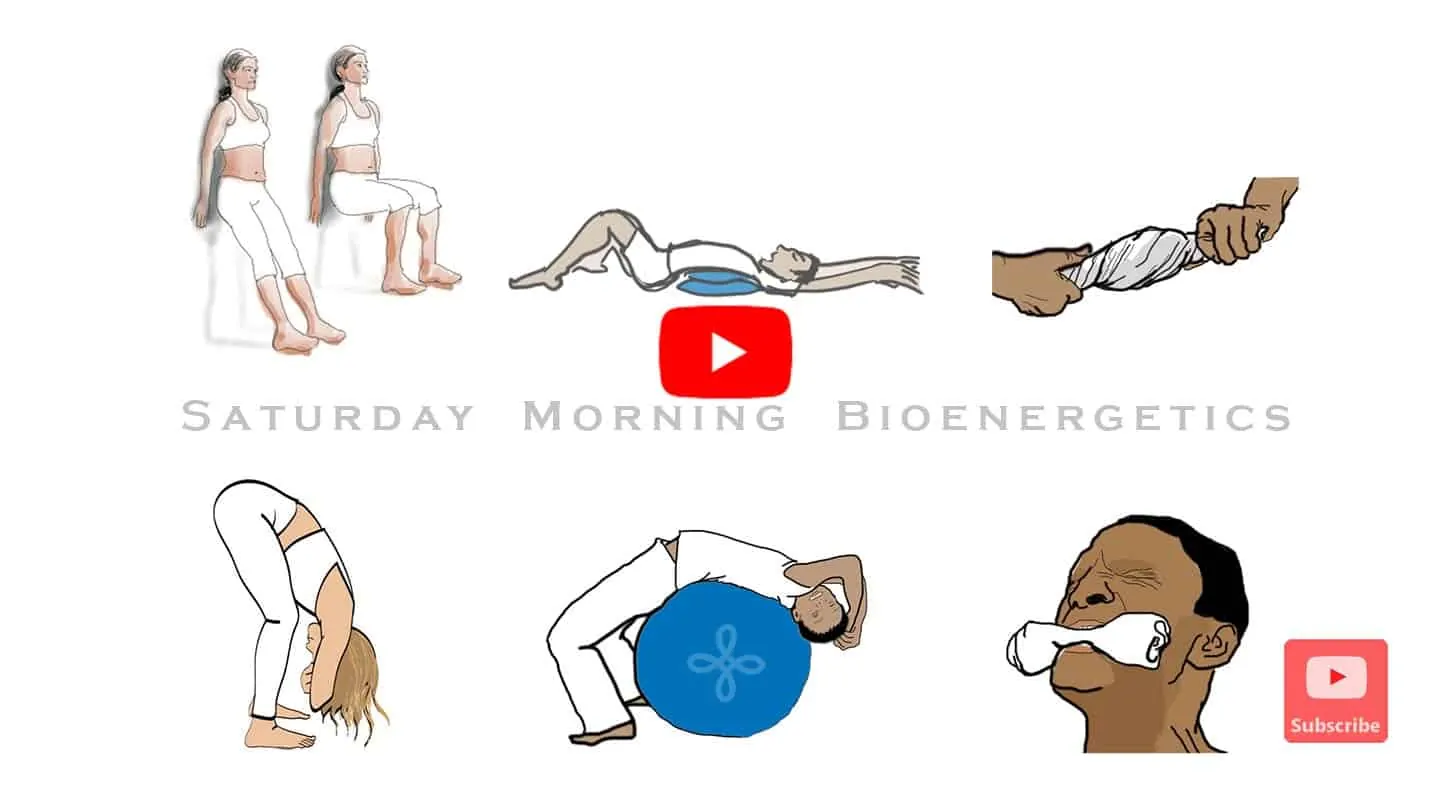 Bioenergetic Exercise Class Video