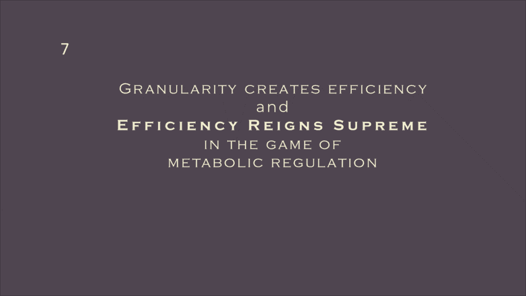 Granularity creates efficiency and efficiency reigns supreme in the game of metabolic regulation