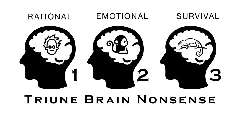 triune-brain-nonsense-00 illustration of the triune brain idea; rational brain, emotional brain, and survival brain. Heading says Triune Brain Nonsense