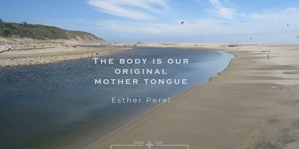 photo of Waddell Creek Beach, CA with a quote about body language