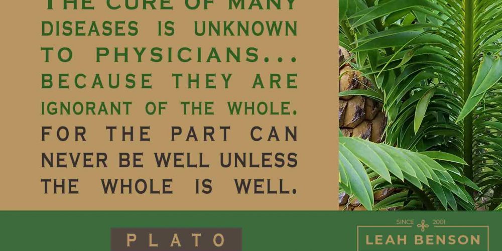The cure of many diseases is unknown to physicians...because they are ignorant of the whole. For the part can never be well unless the whole is well. -Plato