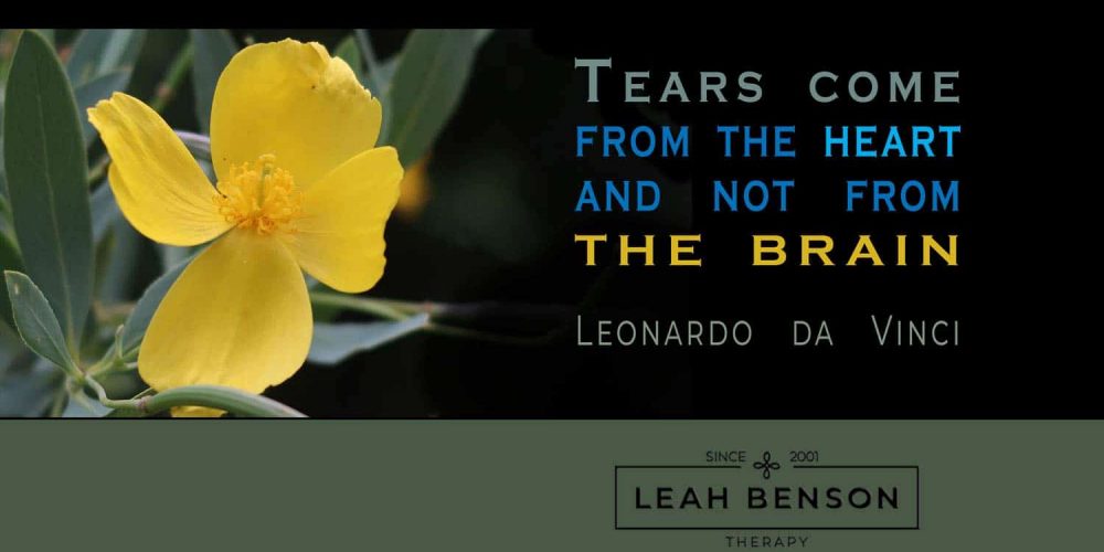 Tears come from the heart and not from the brain. Quote by Leonardo da Vinci - photo of a flower.