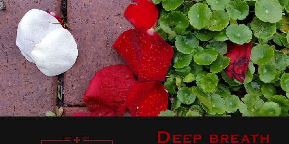 Deep Breath Makes Life. Leah Benson Therapy. Photo of rose petals on brick path.